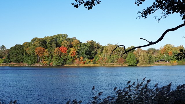20180919_082233